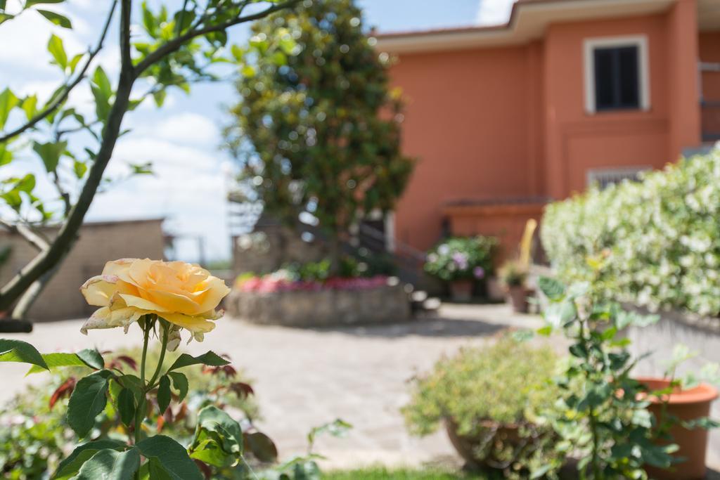 Bed And Breakfast Nonna Loreta Formello Zewnętrze zdjęcie